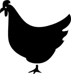 Raamsticker Kip Div. Kleuren