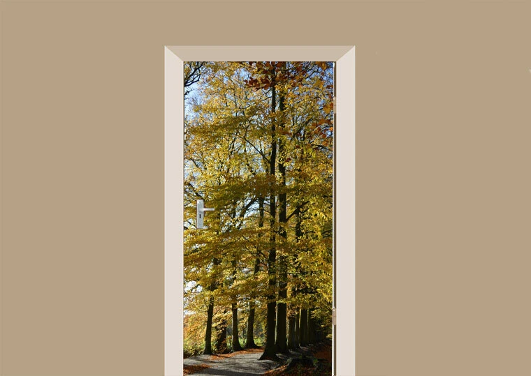 Deursticker Beuken In De Herfst 3 Deursticker Beuken In De Herfst