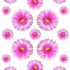 Autostickers Gerbera Roze -RAM Winkel 1943767050