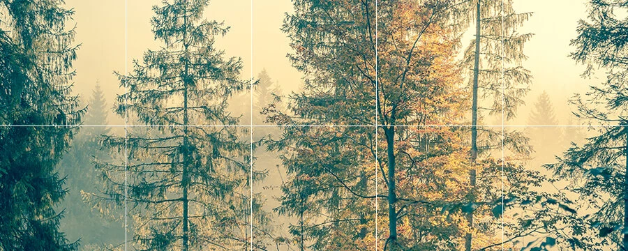 Foto Tegelsticker 15x15 'Bos' 30x75 Cm Hxb 3 Foto Tegelsticker 15x15 'Bos' 30x75 Cm Hxb