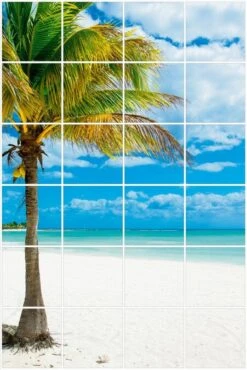 Foto Tegelsticker 15x15 'Palmboom' 90x60 Cm Hxb